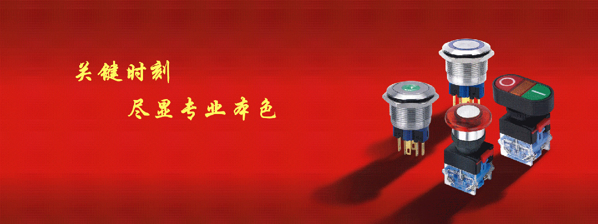 中國·紅波按鈕制造有限公司